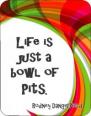 Life is Just a Bowl of Pits Air Freshener